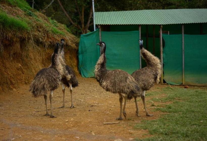 Отель Vistas Del Cielo