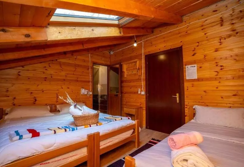 ペンション Bee Eco Guest House