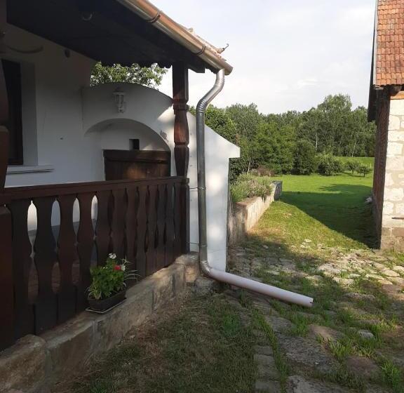 פנסיון Bodrogparti Vendégház Sárazsadány