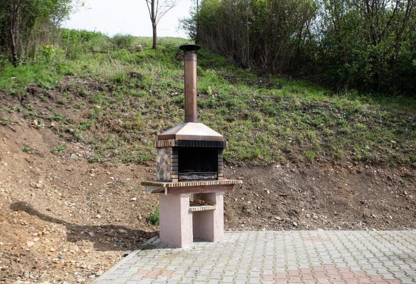 Пансион Casa Poienita Apusenilor