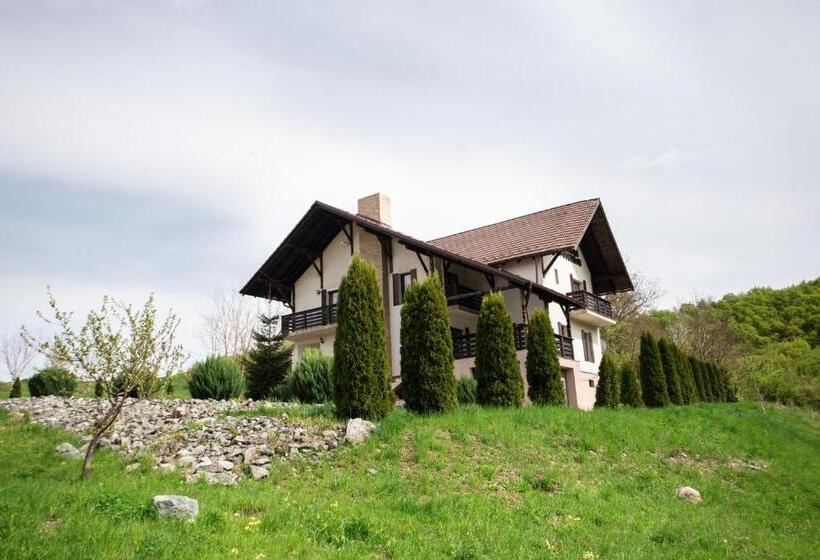 Пансион Casa Poienita Apusenilor