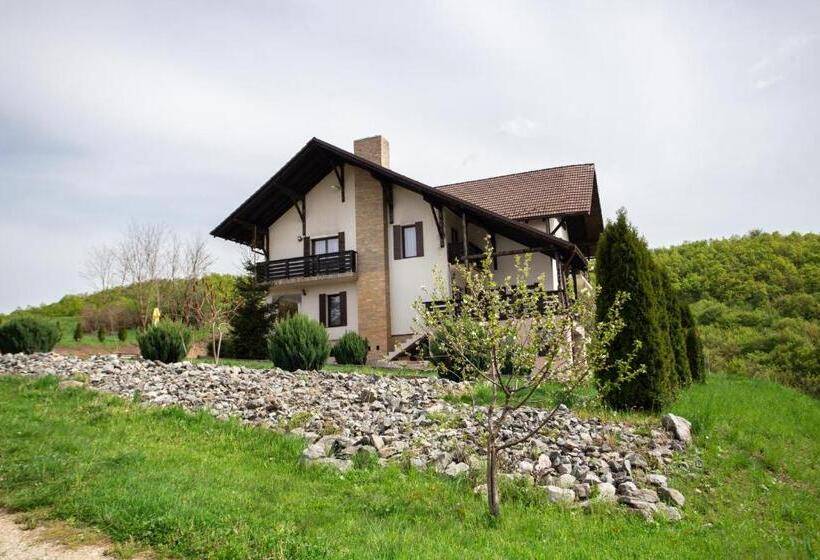 Пансион Casa Poienita Apusenilor