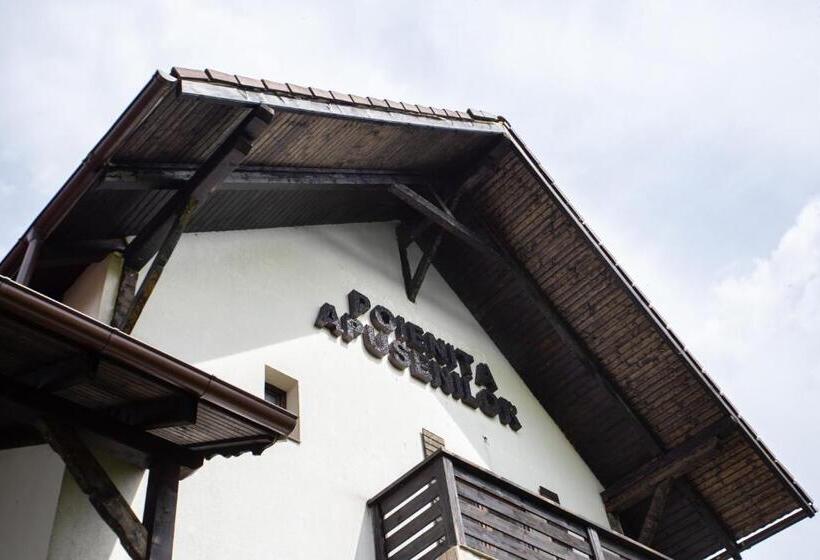 Пансион Casa Poienita Apusenilor