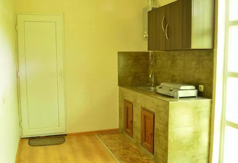 پانسیون Shoda