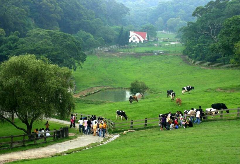 هاستل Flying Cow Ranch