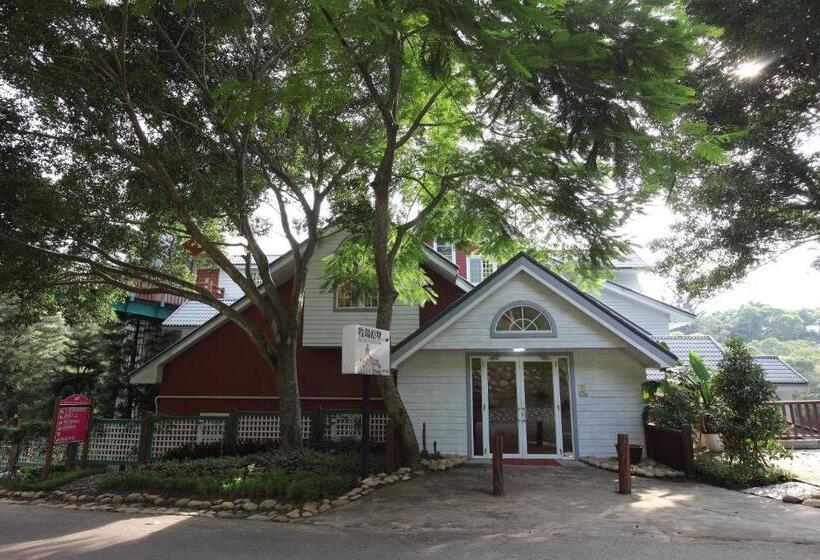 هاستل Flying Cow Ranch