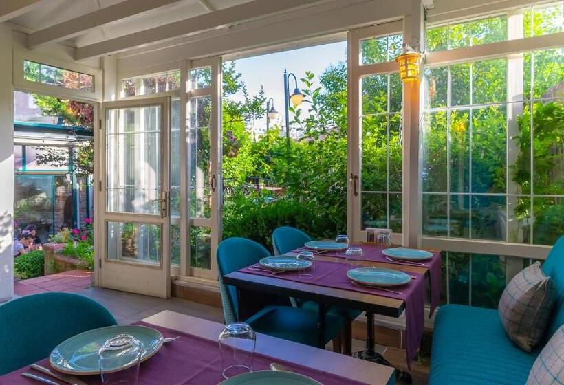 هتل Olive Garden Suite