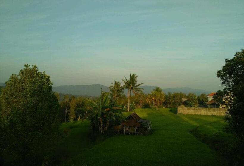 פנסיון Adhitya Dharma Guest House