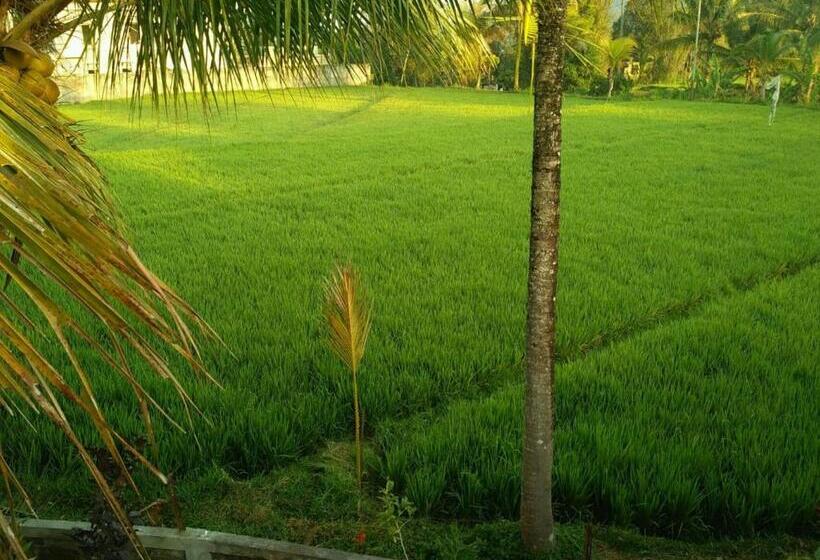 פנסיון Adhitya Dharma Guest House