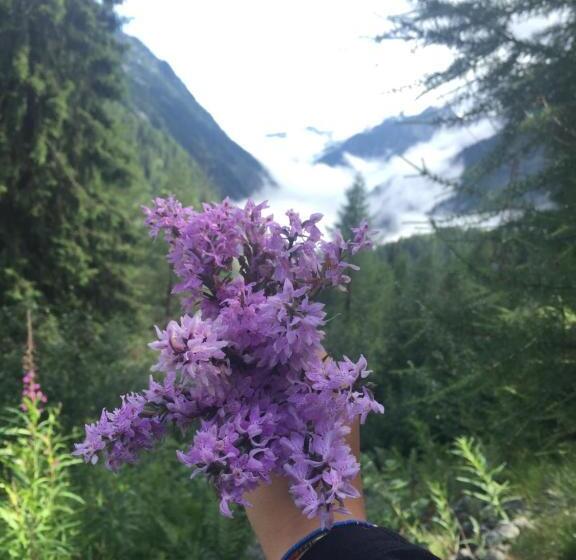 Пансион Affittacamere Da Silvia