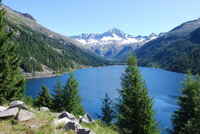 Пансион Affittacamere Da Silvia