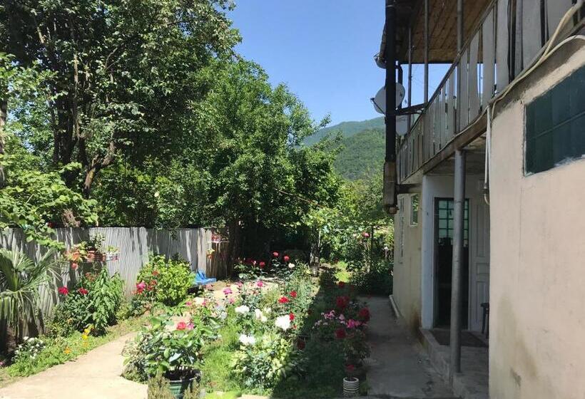 پانسیون Chveni Ezo