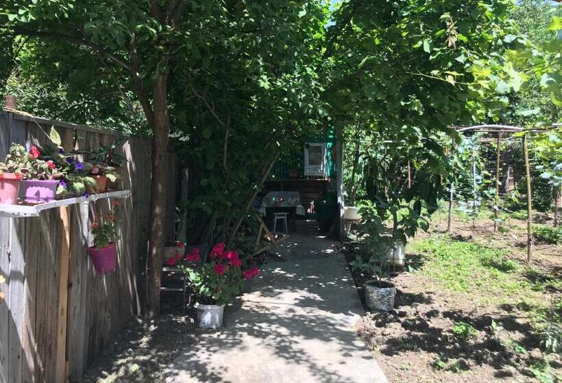 پانسیون Chveni Ezo