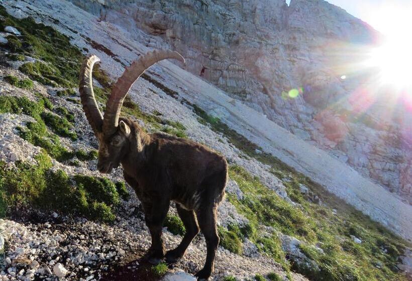 پانسیون Gostilna Tratnik