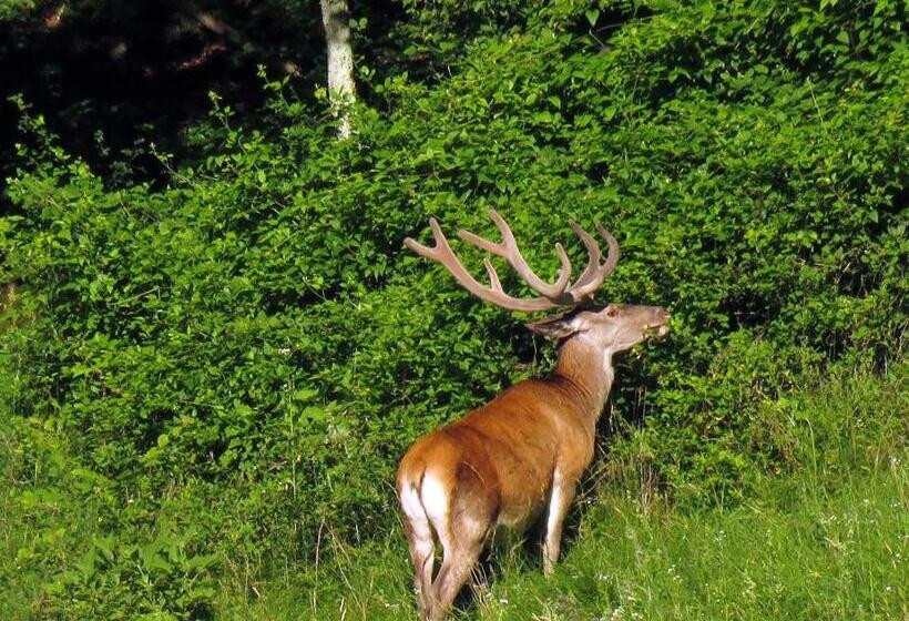 پانسیون Gostilna Tratnik