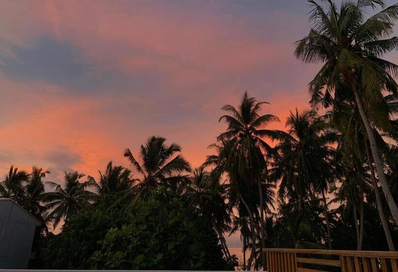 پانسیون Seena Inn