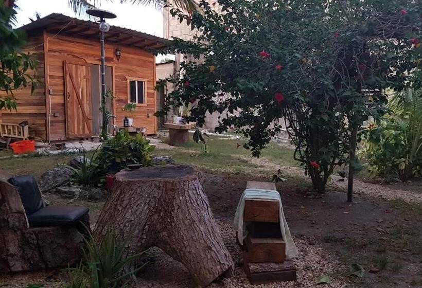 هاستل Casa Ricky S