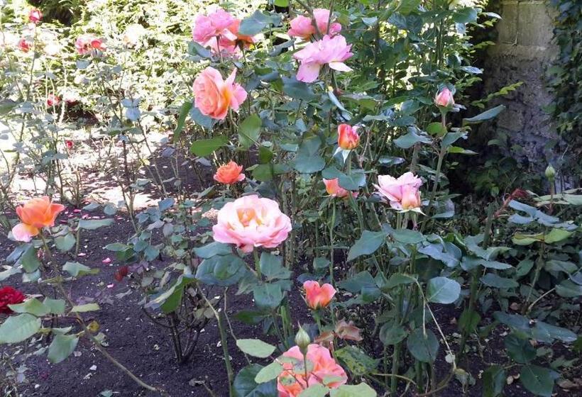 민박 Garrane House