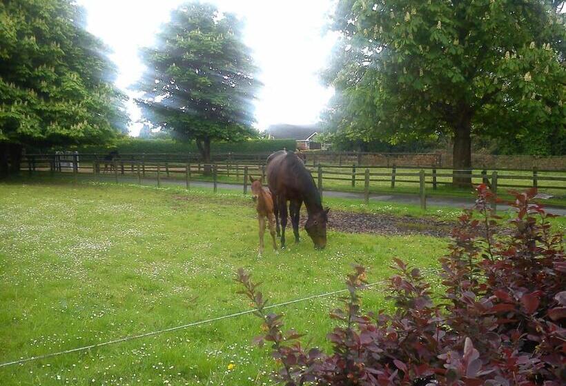 민박 Garrane House