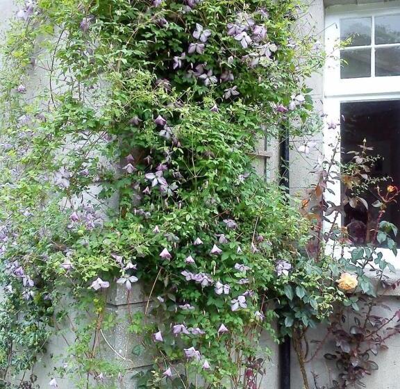 민박 Garrane House