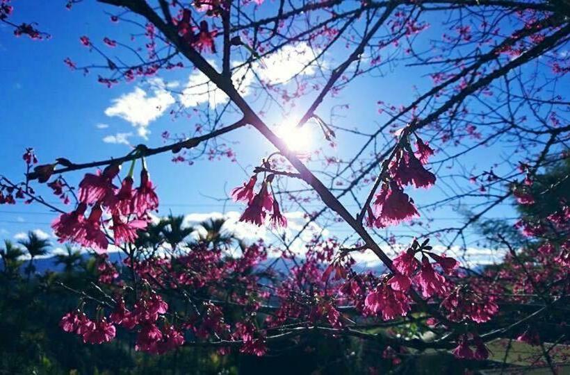 تختخواب و صبحانه 仲明居zhong Ming Ju Taoyi Fang