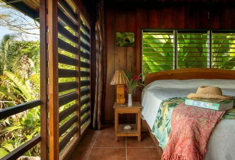 Hotelli Tiskita Jungle Lodge