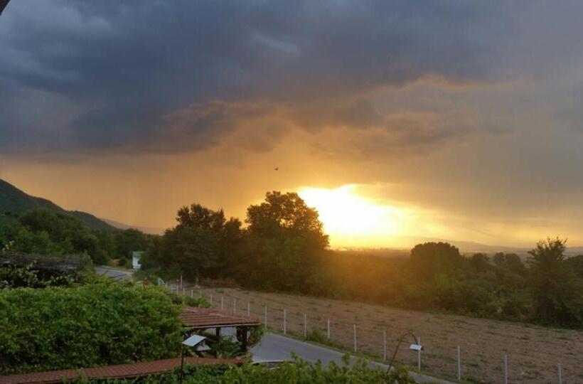 مُتل Podgorski An