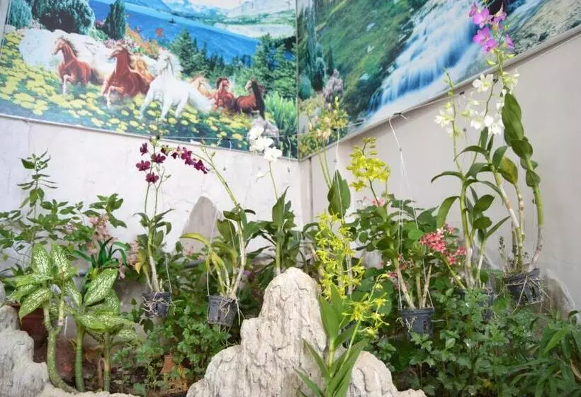پانسیون Binh An Backpacker Guesthouse