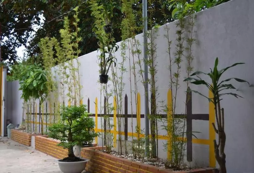 پانسیون Binh An Backpacker Guesthouse