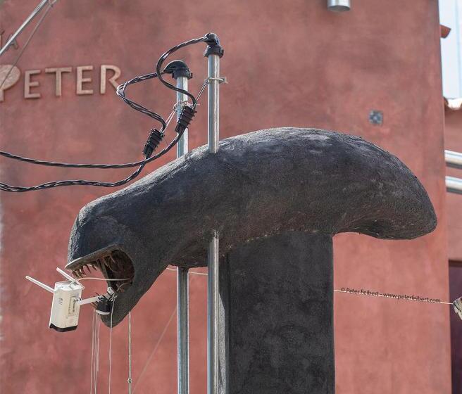 펜션 Casa De Peter