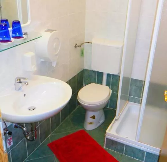 پانسیون Gostilna Stara Pošta