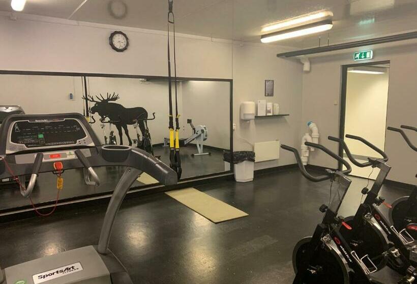 Hostel Basecamp Frich`s Hjerkinn