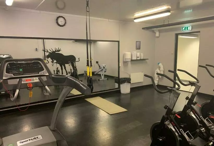 ユースホステル Basecamp Frich`s Hjerkinn