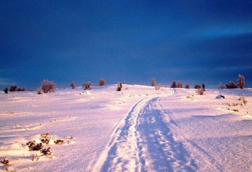 Hostel Basecamp Frich`s Hjerkinn