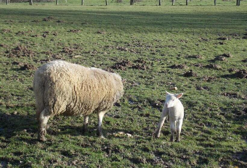 住宿加早餐  A La Mare Du Vieux Chêne