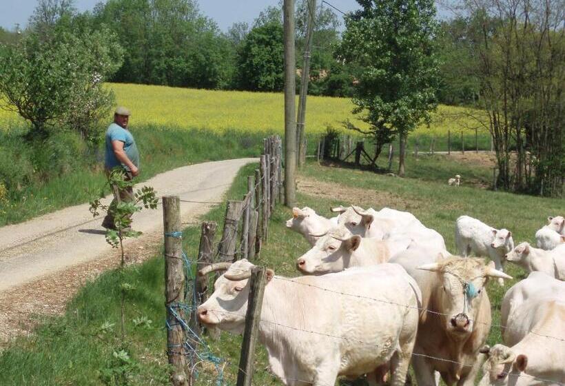 住宿加早餐  A La Mare Du Vieux Chêne