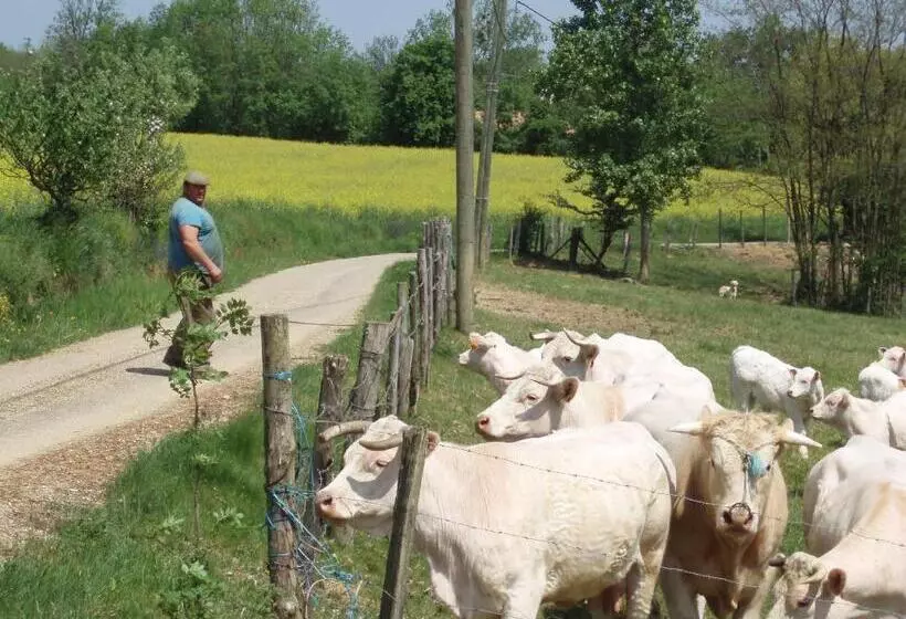 Aamiaismajoitus (B&B) A La Mare Du Vieux Chêne