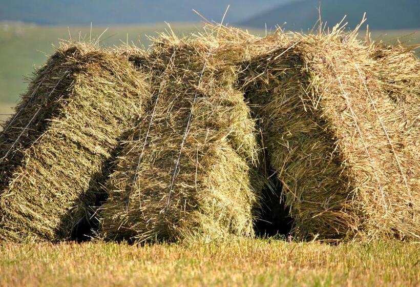 צימר Bed & Relax Sinestesia