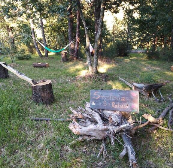 צימר Bed & Relax Sinestesia