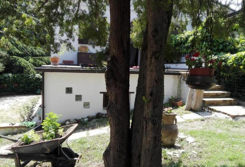 צימר Bed & Relax Sinestesia