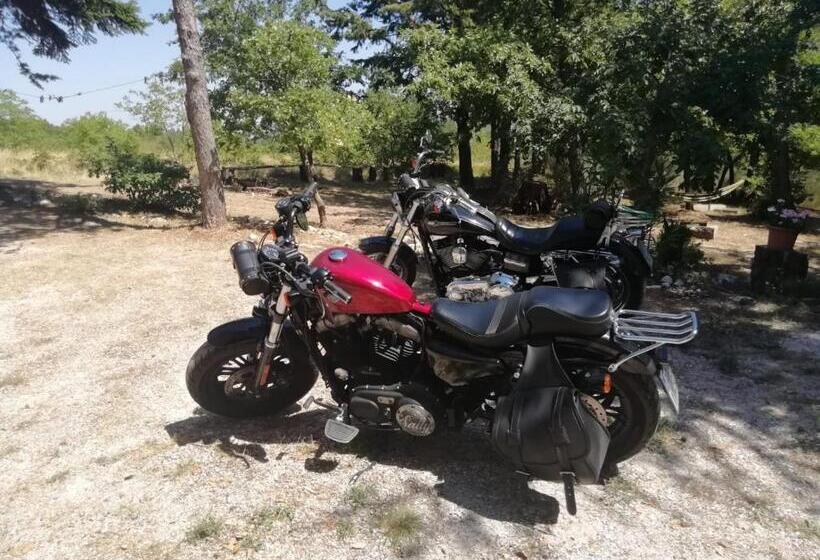 צימר Bed & Relax Sinestesia