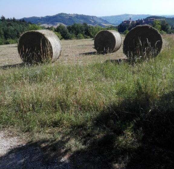 צימר Bed & Relax Sinestesia