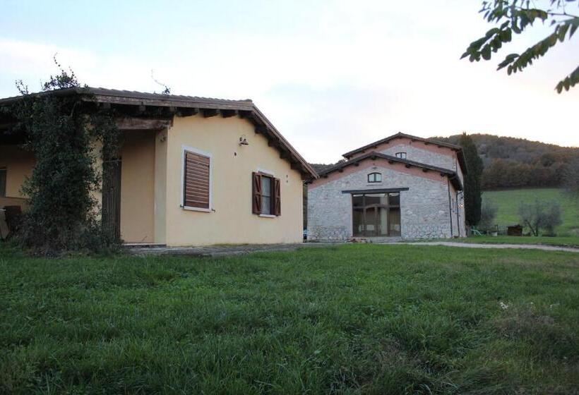 فندق Agriturismo Terre Di Musignano