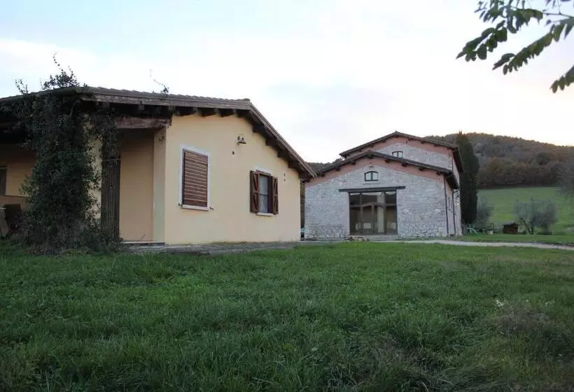ホテル Agriturismo Terre Di Musignano