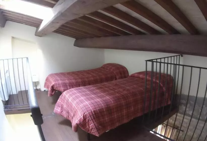 ホテル Agriturismo Terre Di Musignano