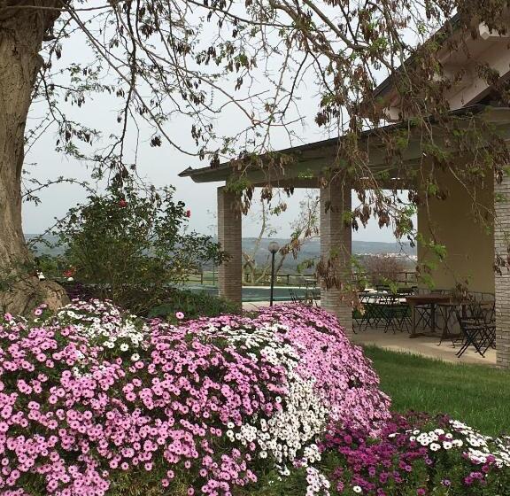 ホテル Agriturismo Terre Di Musignano