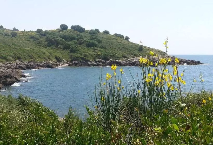 پانسیون Parco Dei Gerani   Il Monolocale Studio