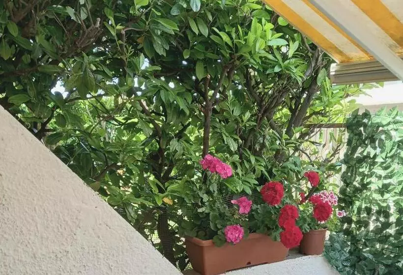 پانسیون Parco Dei Gerani   Il Monolocale Studio