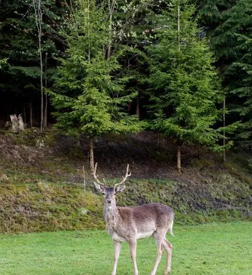 Pensiunea Casa Bunicilor