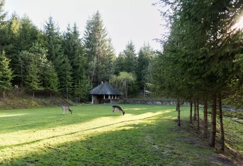 Pensiunea Casa Bunicilor
